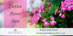 Kingsbridge & Chelsea Flower Show